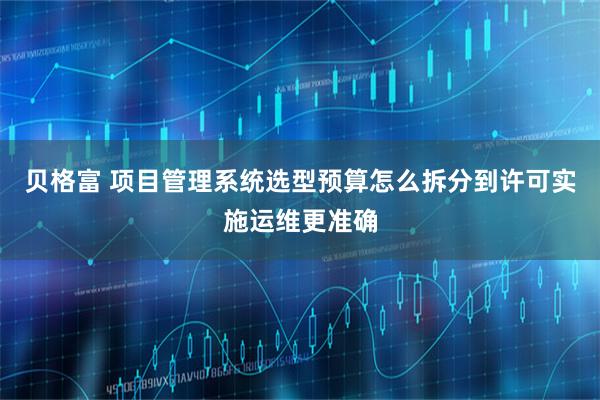 贝格富 项目管理系统选型预算怎么拆分到许可实施运维更准确